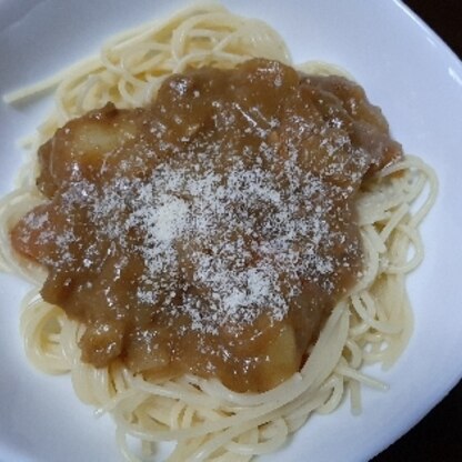 カレーの残りで。有難うございました。